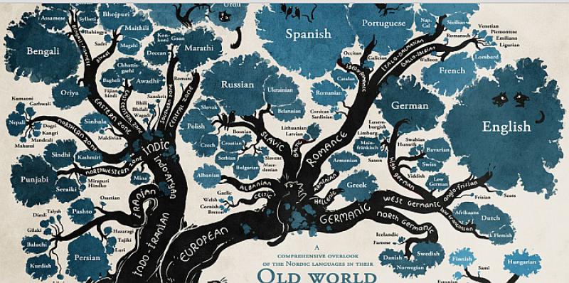 Pronađite hrvatski jezik na ovom predivnom lingvističkom drvetu