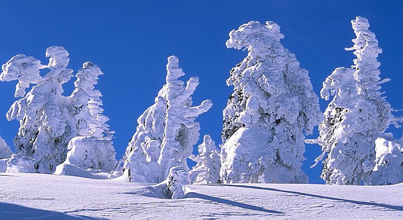 Ono kad stanovnike švedskog sjevera iznenadi količina snijega