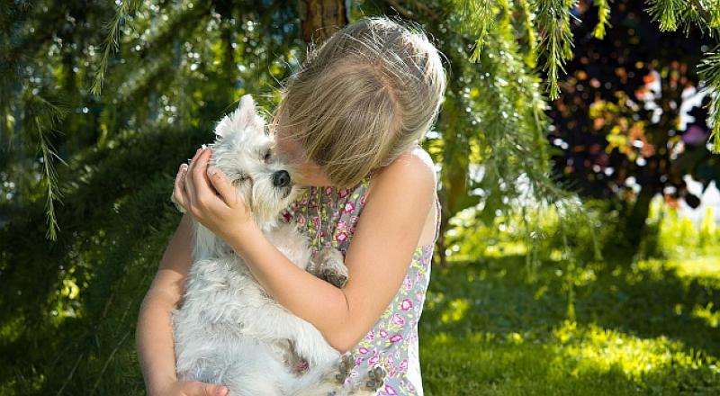 SJAJNA VIJEST Ako dijete odrasta uz psa, puno je manja šansa da će oboljeti od ove kronične bolesti