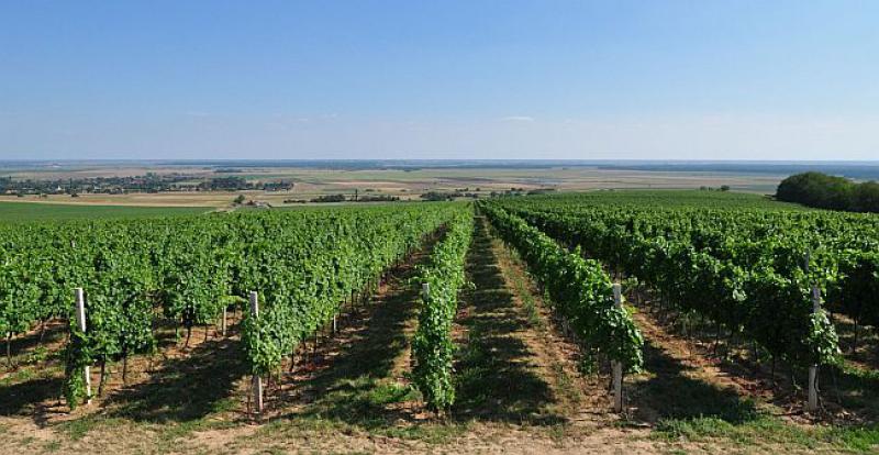 VIKENDICE U 'HRVATSKOJ TOSCANI' Prodaju se u bescjenje, već za četiri, pet tisuća eura