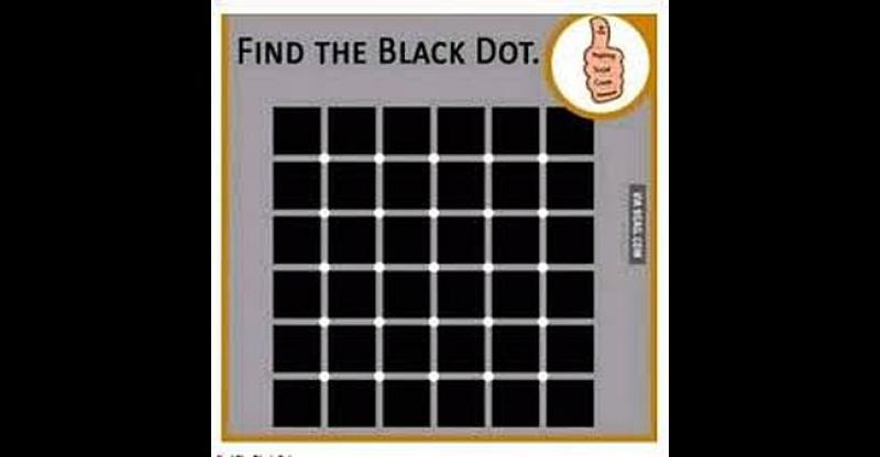 MOZGALICA Koliko crnih točaka vidite?