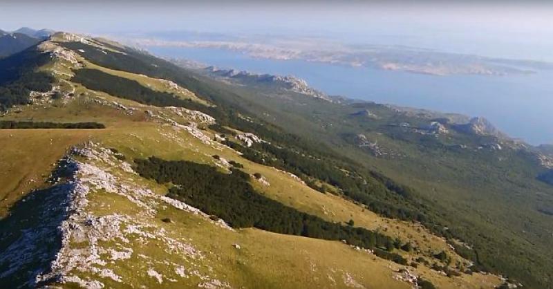 (VIDEO) DIVLJI VELEBIT Mitska hrvatska planina gdje se još sreću medvjed, vuk i ris