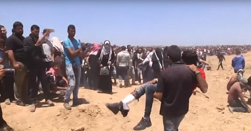ISLAMSKA ZAJEDNICA BIH OSUDILA POKOLJ U GAZI 'Nezamislivo je da nema reakcije međunarodne zajednice'