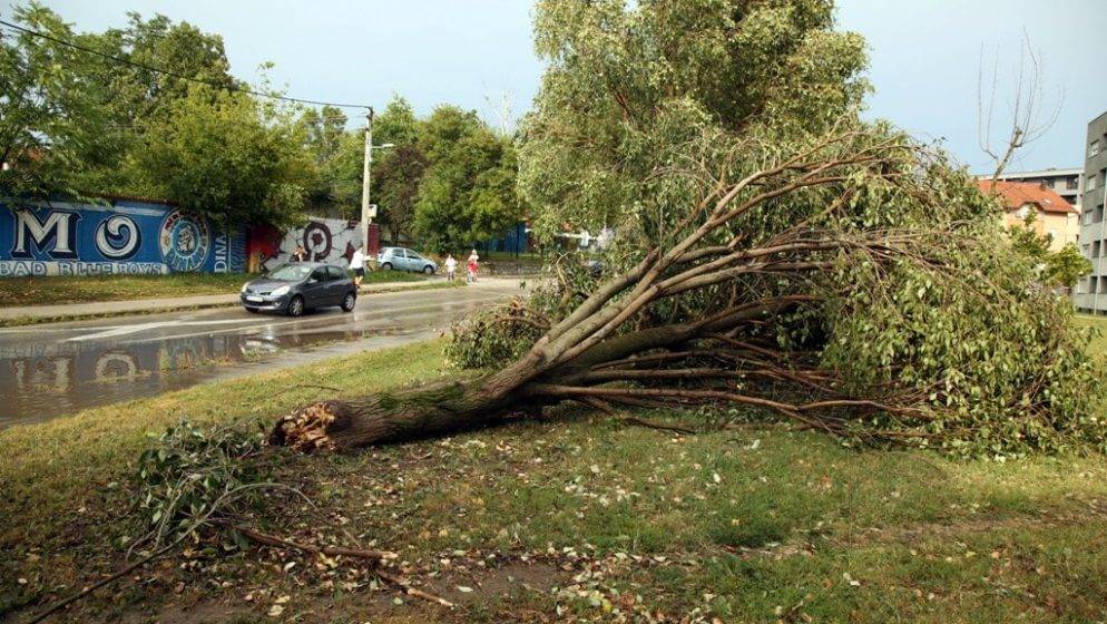 Snažno nevrijeme pogodilo Istru, Novigrad bio na udaru, a i u Zagrebu ponovno rušilo stabla