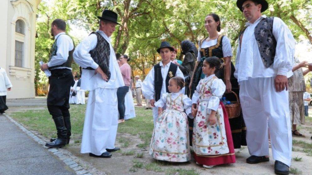 Održano tradicijsko natjecanje bačkih Hrvata u ručnom košenju žita